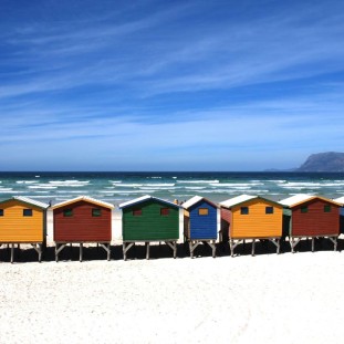 Variety loses as social converges