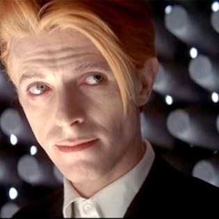 Bowie and branding