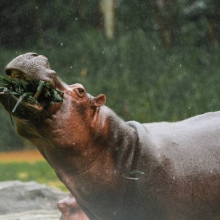 Google’s E-EAT puts experience first