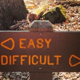 Is word inflation in your DNA?