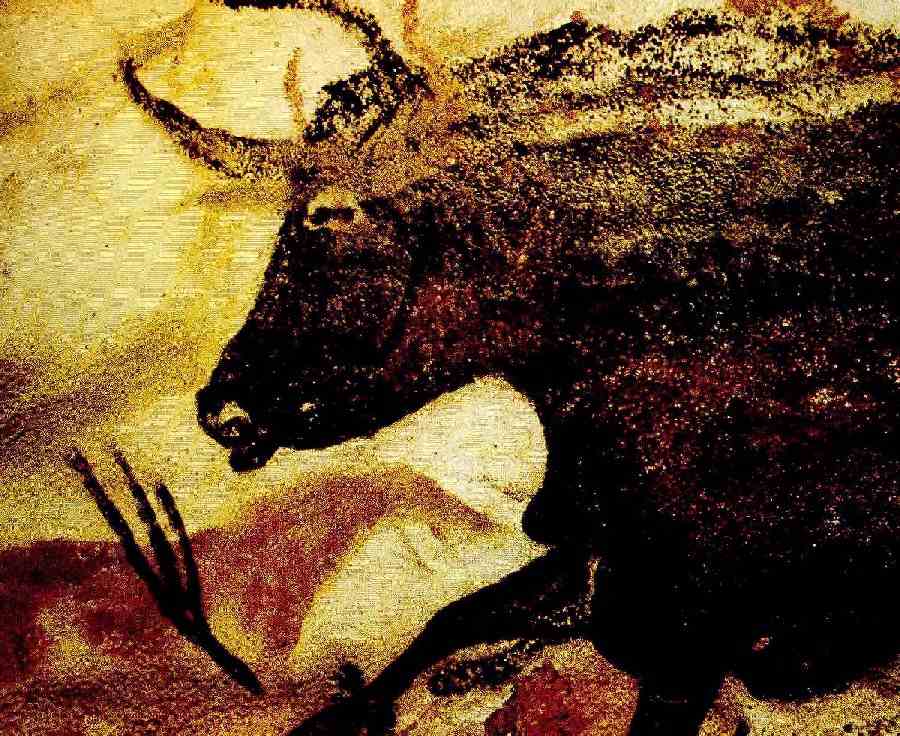 Lascaux-France-Bull